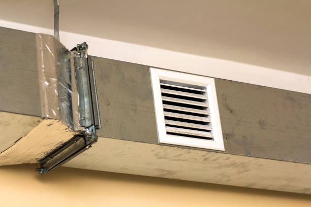 Best Air Duct Mold Removal  in Suncook, NH